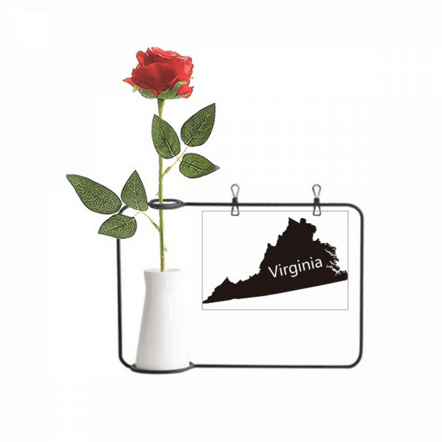 Virginia America USA Map Outline Artificial Rose Flower Hanging Vases Decoration Bottle