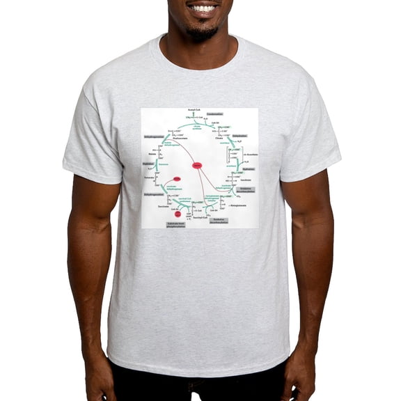 CafePress - Kreb's Cycle Ash Grey T Shirt - Men's Classic Graphic T-Shirt