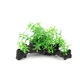 thumbnail image 1 of Decoraciones para acuarios, decoración mágica de resina para acuario, pabellón, puente colorido, árbol, rocalla, resina, madera muerta B Rojo Verde, 1 of 3