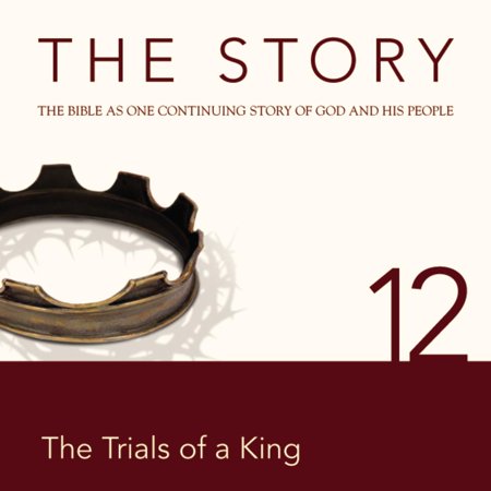 The Story Audio Bible - New International Version, NIV: Chapter 12 - The Trials of a King -
