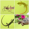 thumbnail image 2 of Tapis pour Reptiles, Doublure de Terrarium, Tapis de Substrat pour Reptiles pour Dragon Barbu Léopard, 2 of 8