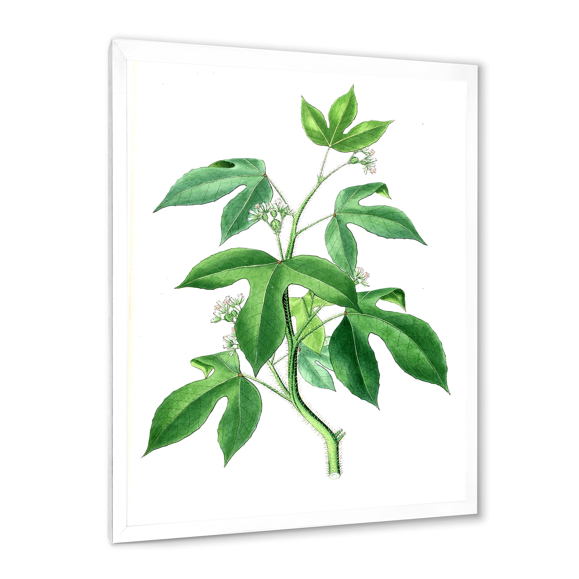 Designart 'Ancient Green Leaves Plants V' Traditional Framed Art Print