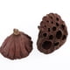 thumbnail image 4 of 180 Piezas De De Loto Seca Natural Flores Para Manualidades De, 4 of 8