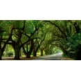 thumbnail image 2 of McLoughlin, James 18x11 Gold Ornate Wood Framed with Double Matting Museum Art Print Titled - Canopy Road Panorama II, 2 of 4