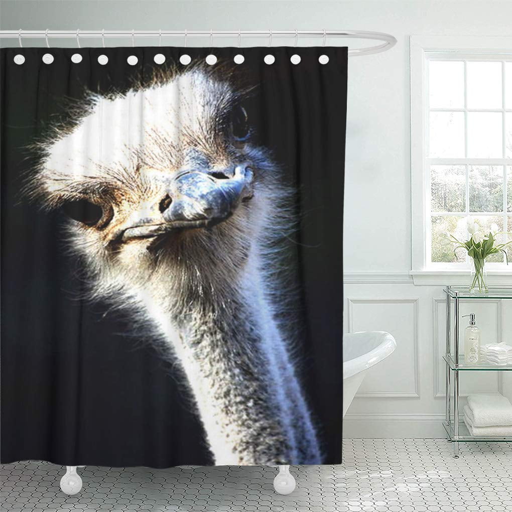 SUTTOM Wild Ostrich Funny Cute Nature Fugly Ugly Shower Curtain 60x72
