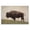 Serene Buffalo Countryside, variant on Stupell Industries Rustic Lodge Bison Sunset on Golden Prairie Black Floating Frame Canvas Art, 25 x 17, by Nathan Larson
