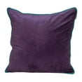 thumbnail image 1 of HomeRoots 402775 Violet & Blanc Coussin Réversible en Velours&44; Multi Couleur, 1 of 1
