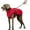 Red, variant on HQREA Greyhound Dog Coat Thick Hoodie Whippet Large Dog Winter Jacket Vest with Hook&Loop Buckle