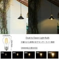 thumbnail image 4 of FSLiving Clear Glass Black Barn Light AUTO Wall Light Photocell with UL Waterproof Switch Plug-in Cord LED Dusk to Dawn Light Bulb 8W 60W Equivalent,2700K Warm White Dimmable for Porch Backyard, 4 of 7