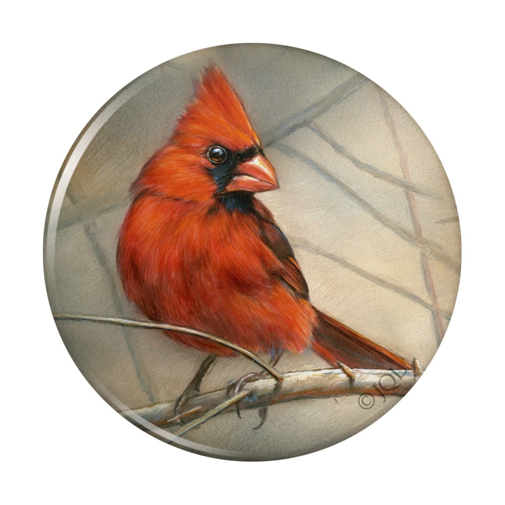 Hard Enamel Pin Cardinal 1 inch