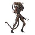 thumbnail image 2 of NECA - Aliens - 7" Scale Action Figure - Series 13 Scorpion, 2 of 5