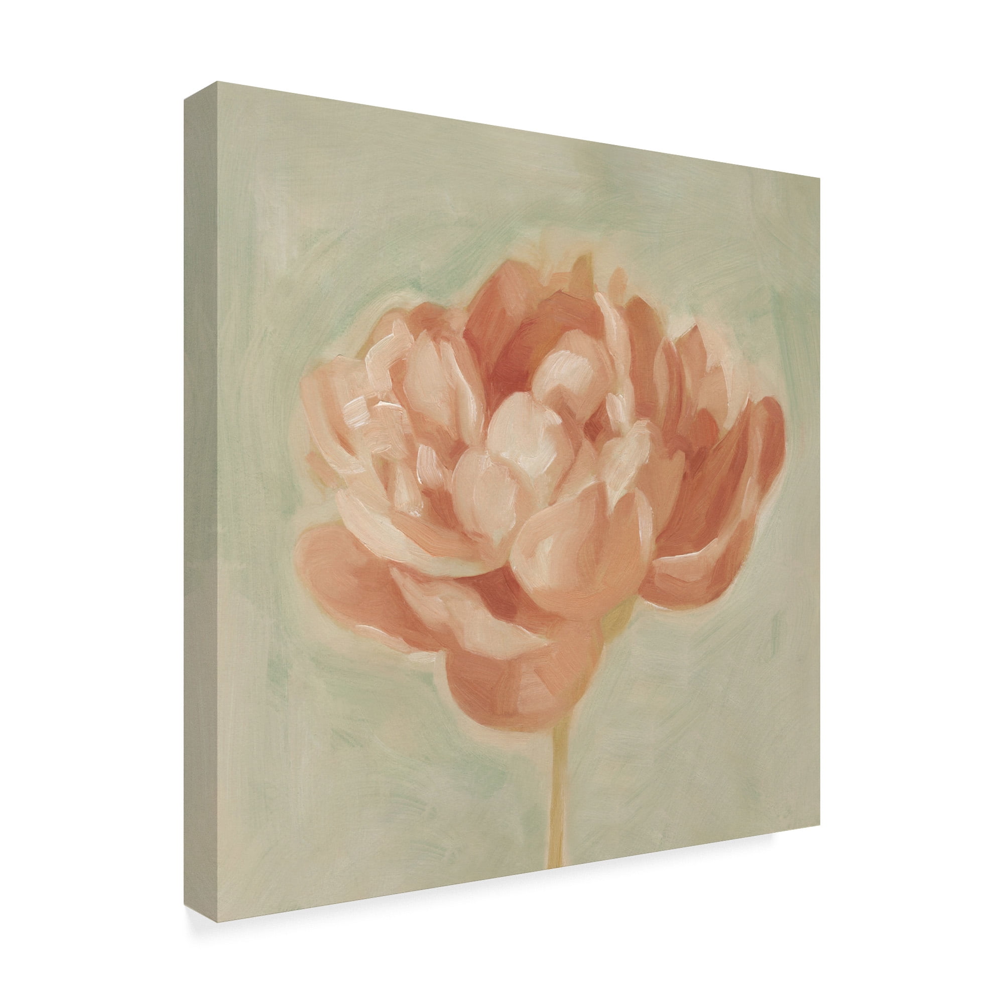 Trademark Fine Art 'Spring Peony I' Canvas Art by Emma Scarvey