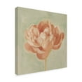 thumbnail image 2 of Trademark Fine Art 'Spring Peony I' Canvas Art by Emma Scarvey, 2 of 4