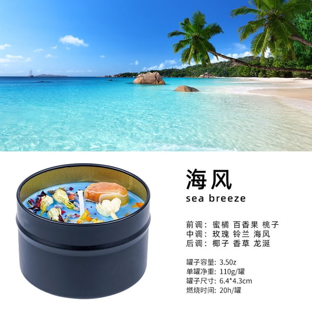 Xiao Hua 1 vela perfumada azul, lata de hierro de alta gama, vela perfumada de cera de soja, recuerdo, flor seca + adorno decorativo de vela perfumada de piedra natural