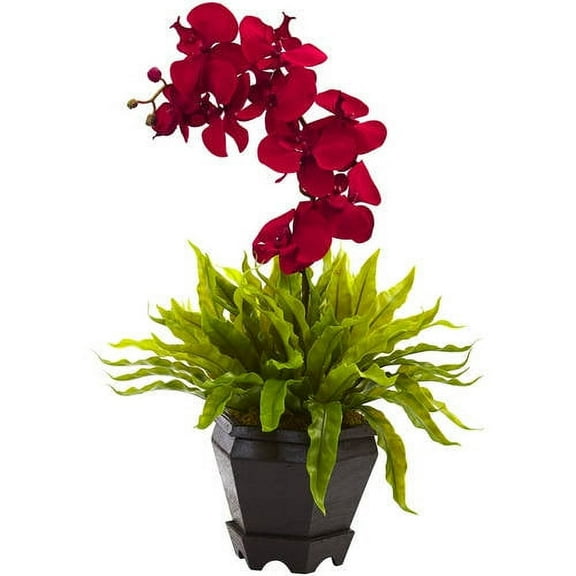 Nearly Natural Birds Nest and Orchid Combo with Planter