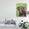 thumbnail image 3 of Trademark Fine Art 'Dog Portrait Chocolate' Canvas Art by Jill Sands, 3 of 4