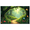 3A, variant on Enchanting Forest Themed Backdrop Banner with Butterflies Flowers and Pathway Party Decorations Photography Props Background for Garden Parties Outdoor Celebrations Family Gatherings and Photo Shoots
