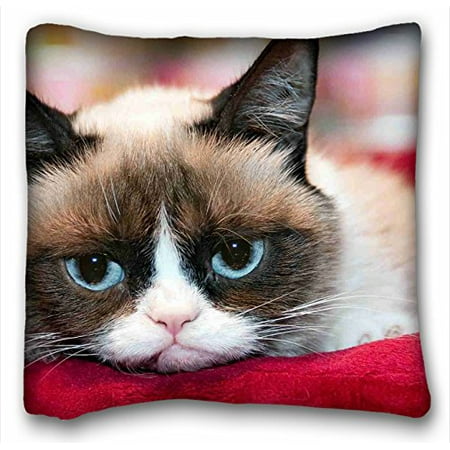 WinHome Soft Pillow Case Cover Decorative Sofa Throw Pillow Zippered Pillowcase Funny Cute Grumpy Cat Pattern Popular Design Great Gift For Valentine's Day Size 18x18 Inches Two Side
