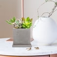 thumbnail image 4 of WEUVEB Pots Bonsaï Petit Pot de Fleurs Gris Ciment 1Pcs pour Jardinage à Domicile, 4 of 8