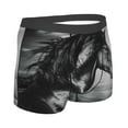 thumbnail image 3 of Bingfone Running Horse Black And White Men'S Underwear - Casual Stretch Boxer Briefs-Large, 3 of 9
