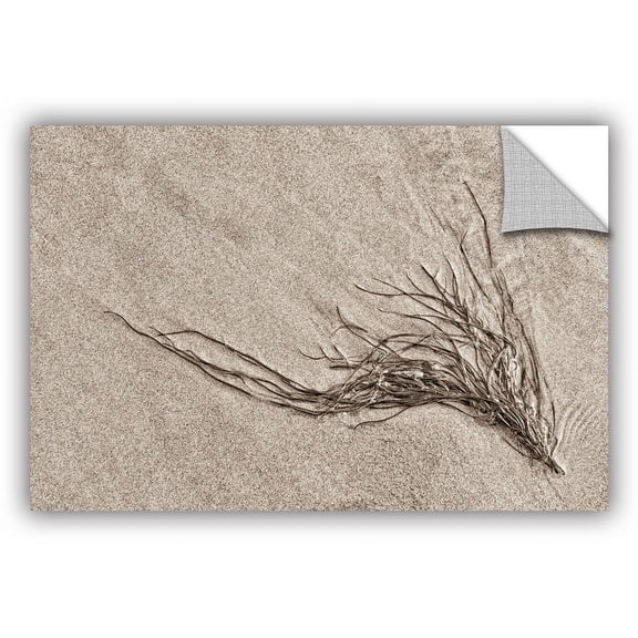 ArtAppealz Cora Niele "Beach Find I" Removable Wall Art