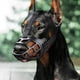 thumbnail image 1 of Bozal para perro, bozal de cesta transpirable para perros pequeños, medianos, grandes y extragrandes, deja de morder, ladrar y masticar, lo mejor para perros agresivos (pequeño, negro), 1 of 5