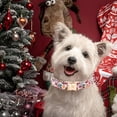 thumbnail image 4 of Collar para Perro Elegant Little Tail Rosa Jengibre 41-61 cm L, 4 of 5