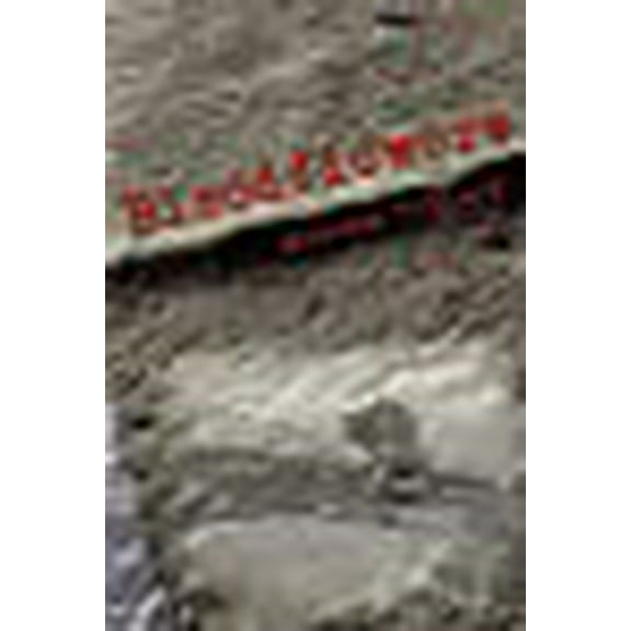 Bloodflowers (Paperback)