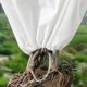 thumbnail image 1 of WEUVEB 8Ud Fundas Para Plantas De Resistentes A Y Lluvia En Tela No Tejida, 1 of 8