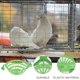 thumbnail image 5 of 2 unids resistente de aves cría cuenca de nido práctico carne paloma nido cuenca (verde), 5 of 5