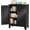 Black, variant on 35.43" Lockable Metal Storage Cabinet, Steel Locker File Cabinet with 2 Doors & 2 Adjustable Shelves, Multi-Purpose Organizer for Home, Office File Storage & Garage Locker (White)