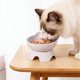 thumbnail image 4 of Cuenco elevado para perros y gatos con soporte de cuello a 15° - Plato inclinado para comida antiasfixia para razas de cara plana, base antideslizante con peso, cuenco fácil de limpiar, 4 of 6