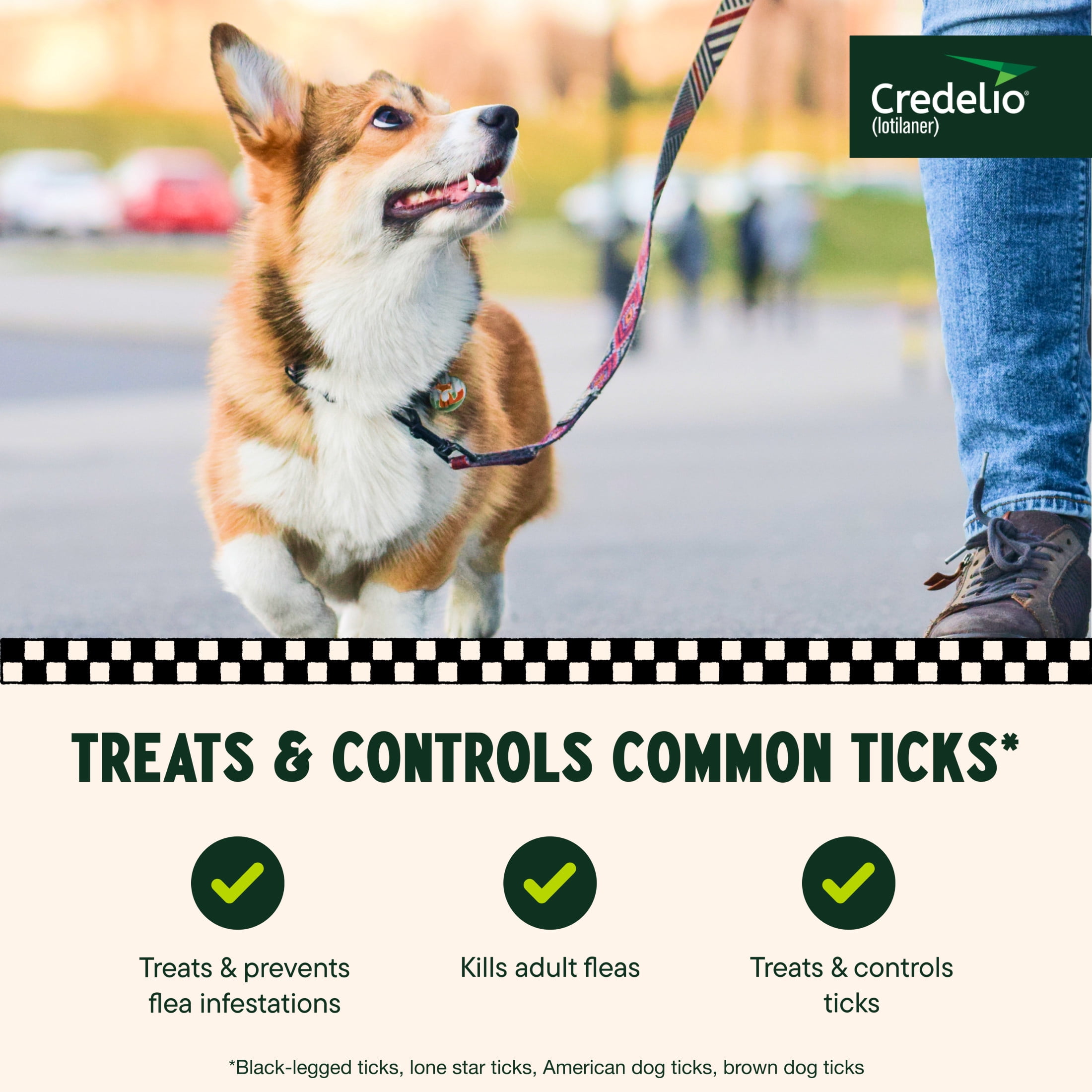 Credelio (lotilaner) Tick & Flea Treatment + Flea Infestation Protection for Dogs 12.1-25.0 lbs. (6 Tablets)