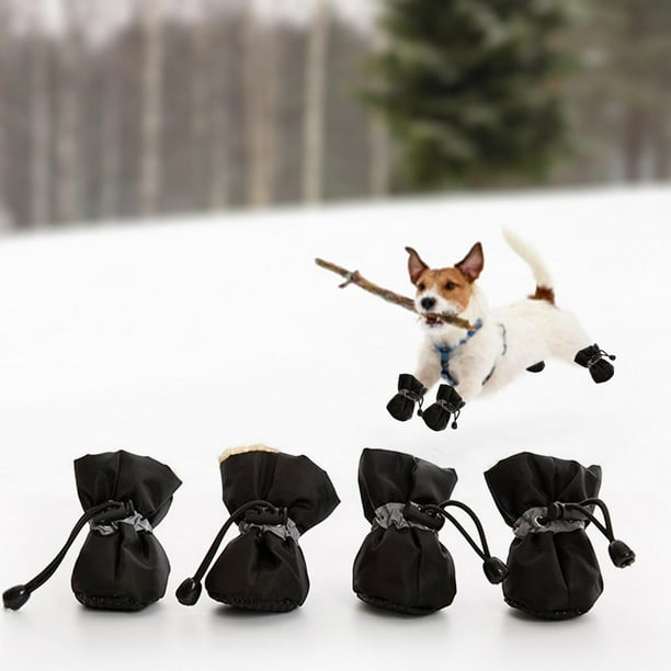 Dog boots top walmart canada