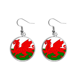 thumbnail image 1 of Wales National Flag Europa país Pendientes pendientes de plata colgantes joyas señora Unbranded M, 1 of 3