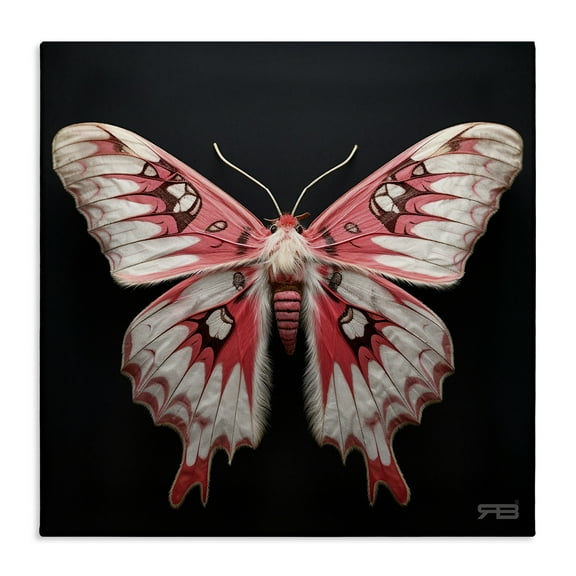 Stupell Industries Red & White Moth Animals & Insects Painting Gallery Wrapped Canvas Art Print Wall Art, 17 x 17