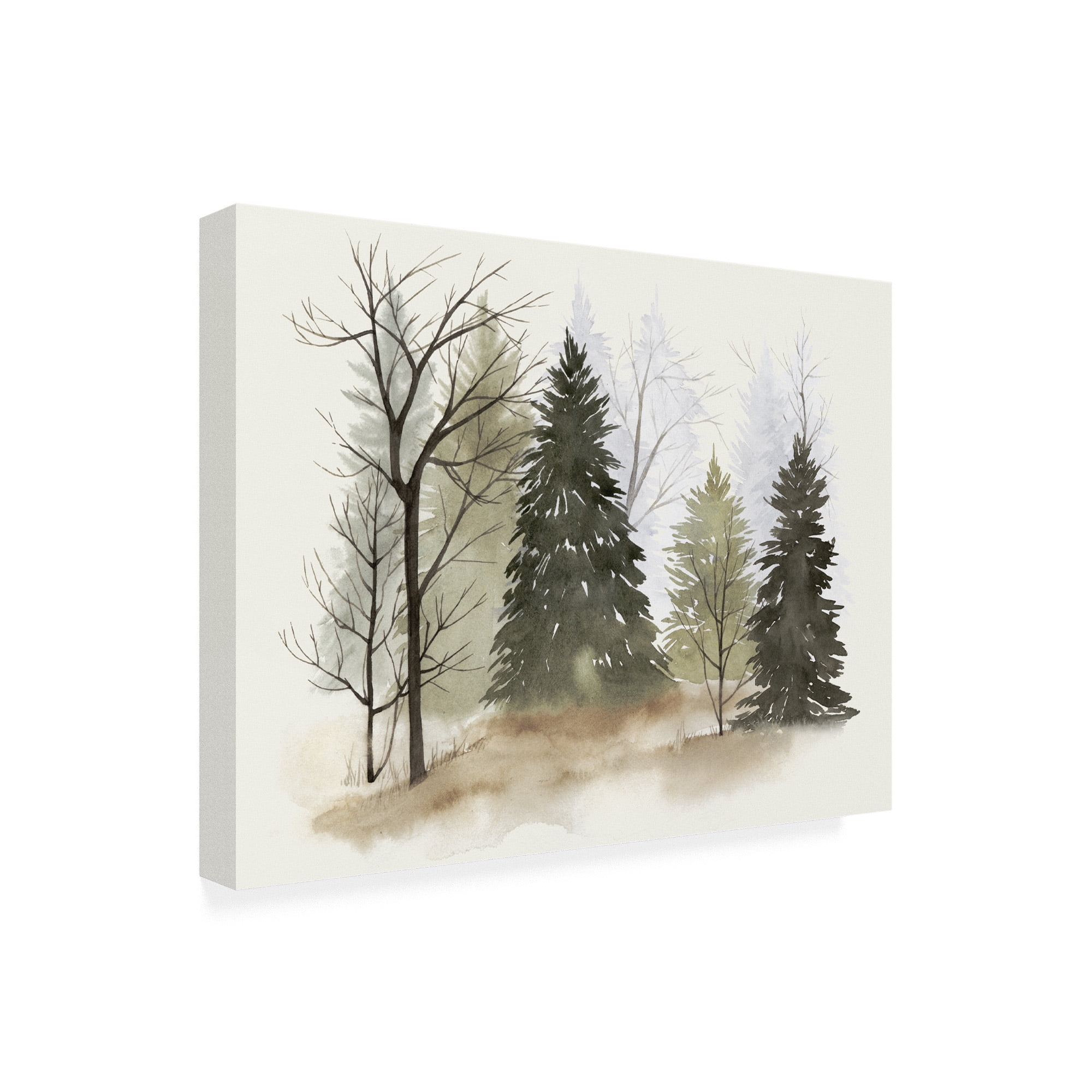 Trademark Fine Art 'In The Mist Ii' Canvas Art by Grace Popp