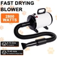 thumbnail image 4 of Hidpriva 2800W Dog Hair Dryer Quick Dry Noise Reduction Pet Hair Dryer Home Use Professional Stepless Adjustable Speed Spring Hose 4 Nozzles Dog Blow Dryer for Grooming with Heater, White, 4 of 6
