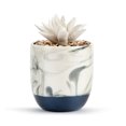 thumbnail image 2 of Demdaco Dream Big Succulent Marbled White and Blue 4.5 x 3 Ceramic Oil Diffuser, 2 of 3