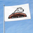 thumbnail image 2 of Ohio Northern University Logo Banner Breeze Flag Outdoor Flags Home Flag Garden Flag 3 'X 5' Ft, 2 of 7