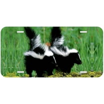 Baby Skunk Novelty Car Auto License Plate