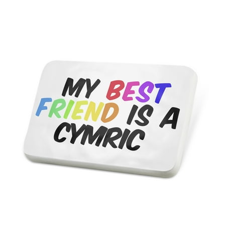 Porcelein Pin My best Friend a Cymric Cat from Isle of Man Lapel Badge –