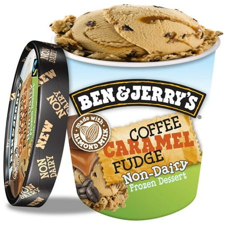 Ben Jerry S Coffee Caramel Fudge Non Dairy 16 Oz Ben Jerry S Coffee Caramel Fudge Non Dairy