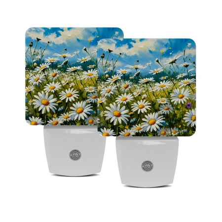 

Plug in Led Night Light with Auto Dusk to Dawn Sensor White Nightlights for Hallway Bedroom Kids Room Kitchen Stairway 2 Pack Oil Painting Daisy White Flower Floral