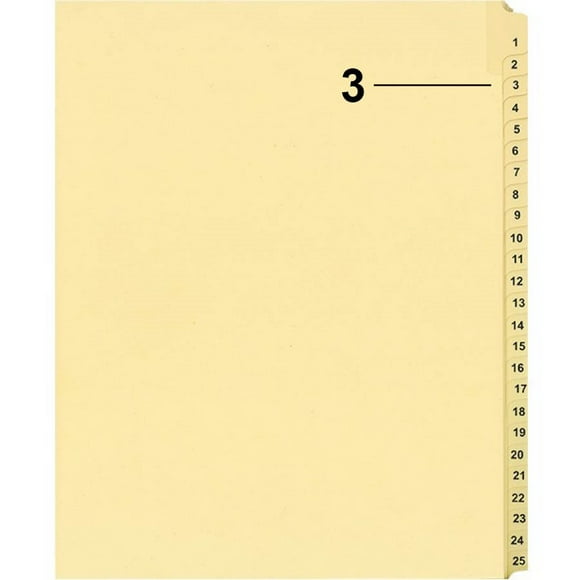 Davisgroup B1125-3 Index Numérique Individuel pour Contentieux 3 - 1 Chacun