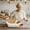 Beige, variant on Storage Containers Storage and Proofing Round Oval Bread Set with Covers Durable Kitchen Tools for Fermentation and Baking
