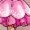 LIGHT PINK, variant on Barbie - Ballerina - Youth Girls Boxy T-Shirt