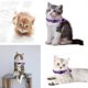thumbnail image 5 of Calentador De Cuello De Poliéster Collar ajustable morado para gatos con cascabel, cierre de seguridad con tira reflectante para gatitos y cachorros (1 pieza). Rkxzt, 5 of 9