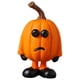 thumbnail image 1 of Calabaza de resina con caras divertidas, calabazas tejidas a mano, adorno, estatua de calabazas, figurita EstiloD 5.7x4.4x9.4cm, 1 of 9