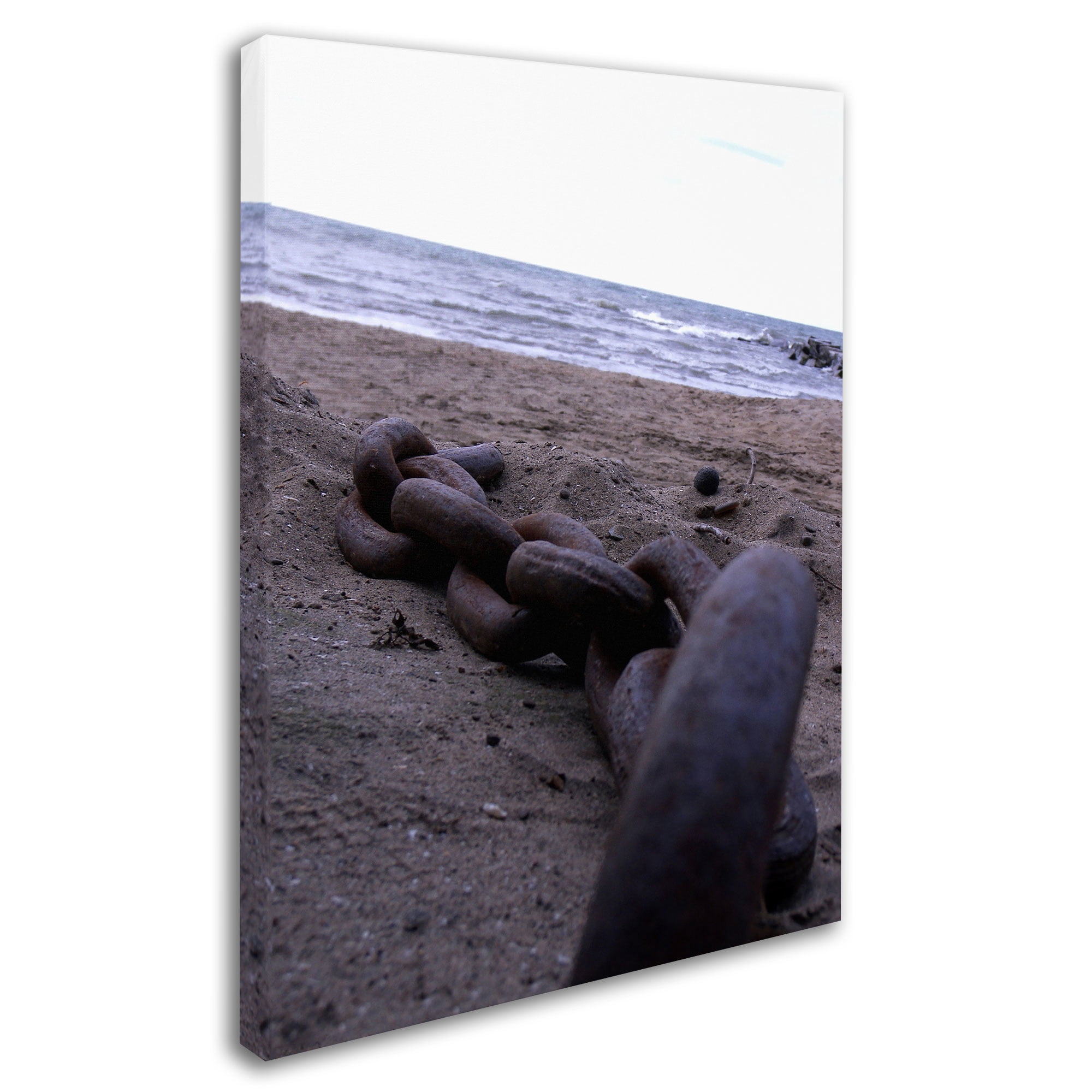 Trademark Fine Art "Boundless" Canvas Art by Monica Fleet